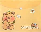 polish book : Teczka A4 ...