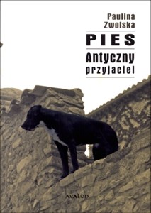 Obrazek Pies Antyczny przyjaciel