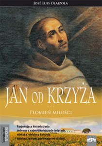 Obrazek Jan od Krzyża Płomień miłości