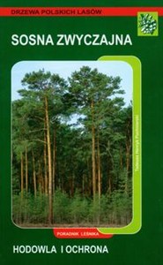 Obrazek Sosna zwyczajna Hodowla i ochrona