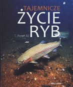 Tajemnicze... - Peter Ac -  books in polish 