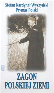 Obrazek Zagon polskiej ziemi