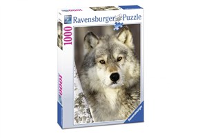 Obrazek Puzzle 1000 Wilk