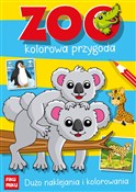 Książka : Zoo - kolo... - Katarzyna Maćkowiak