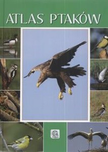 Obrazek Imagine Atlas ptaków