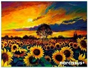 Teczka kop... -  books from Poland