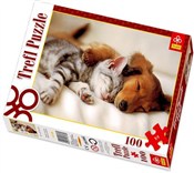 Książka : Puzzle 100...