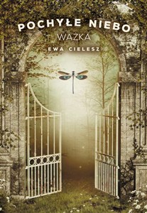 Obrazek Pochyłe niebo 3 Ważka