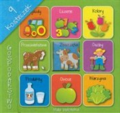 Mała bibli... -  foreign books in polish 