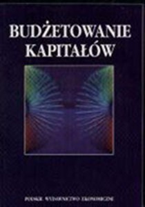 Obrazek Budżetowanie kapitałów