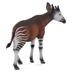 Picture of Okapi L