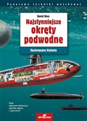 polish book : Najsłynnie... - David Ross