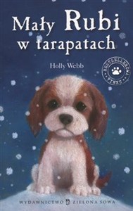 Picture of Mały Rubi w tarapatach