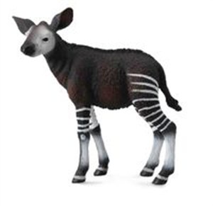 Obrazek Okapi cielę M