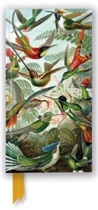 Obrazek Notatnik linia TW Kolibry Ernst Haeckel