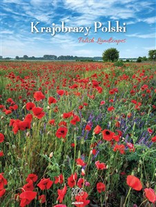 Picture of Kalendarz 2026 ścienny Mały Krajobrazy Polski KSM-1