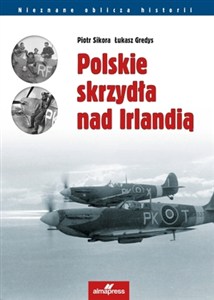 Obrazek Polskie skrzydła nad Irlandią