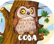 A Baby Owl... - M.S. Zhuchenko -  books from Poland