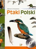 polish book : Ptaki Pols... - Andrzej G. Kruszewicz