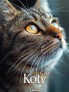 Obrazek Kalendarz 2026 ścienny Mały Koty KSM-4