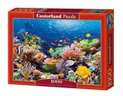 Książka : Puzzle Cor...