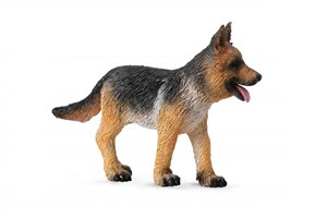 Obrazek Owczarek niemiecki szczeniak S