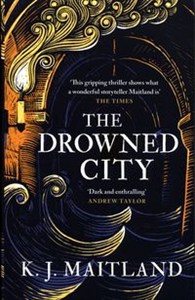 Picture of The Drowned City