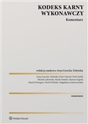 polish book : Kodeks kar... - Anna Gerecka-Żołyńska red.naukowy