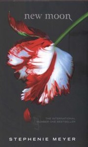 Obrazek New moon