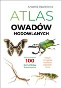 Książka : Atlas owad... - Angelika Dawidowicz