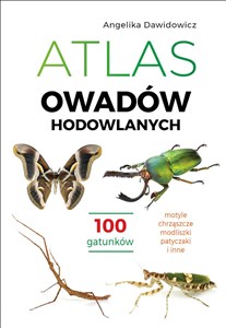 Picture of Atlas owadów hodowlanych 100 gatunków