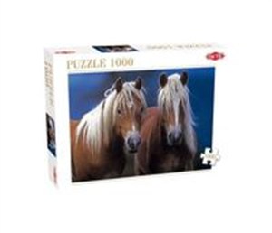Obrazek Puzzle Two Horses 1000