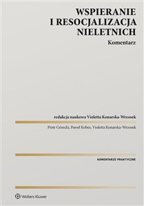 Obrazek Wspieranie i resocjalizacja nieletnich Komentarz