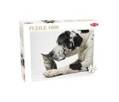 polish book : Puzzle Fri...