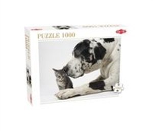 Obrazek Puzzle Friends 1000