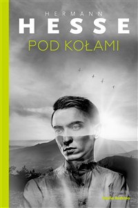 Obrazek Pod kołami