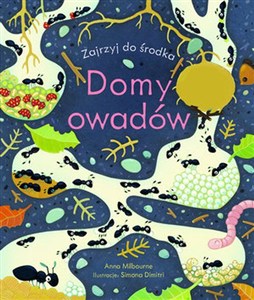 Obrazek Domy owadów. Zajrzyj do środka