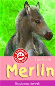 Merlin Bez... - Tina Nolan -  Książka z wysyłką do UK