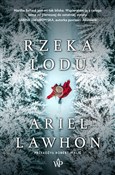 Książka : Rzeka lodu... - Lawhon Ariel