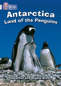 Obrazek Antarctica: Land of the Penguins: Band 10/White (Collins Big Cat)