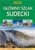 Główny szl... - Waldemar Brygier - Ksiegarnia w UK