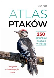 Obrazek Atlas ptaków 250 gatunków żyjących w Polsce