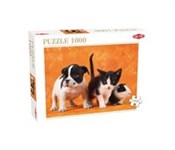 Zobacz : Puzzle Ani...