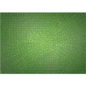 polish book : Puzzle 654...