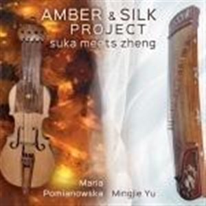 Picture of Amber & Silk project
