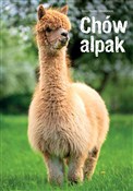 Chów alpak... - Anna Morales Villavicencio -  foreign books in polish 
