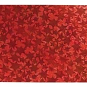 Książka : Karton hol...