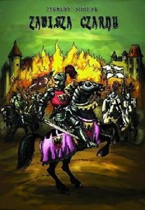 Obrazek Zawisza Czarny