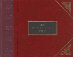 Obrazek Duży mały poradnik życia