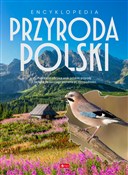 Encykloped... - null null -  Książka z wysyłką do UK